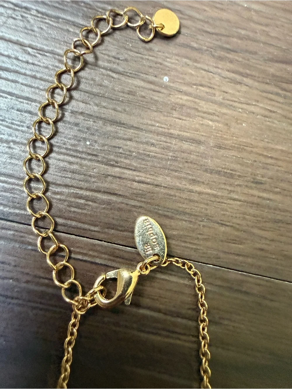 Lia Sophia Panorama Reflection Collection Necklace Gold Tone Disc Long Necklace